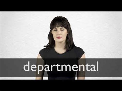 DEPARTMENTAL definition in American English .